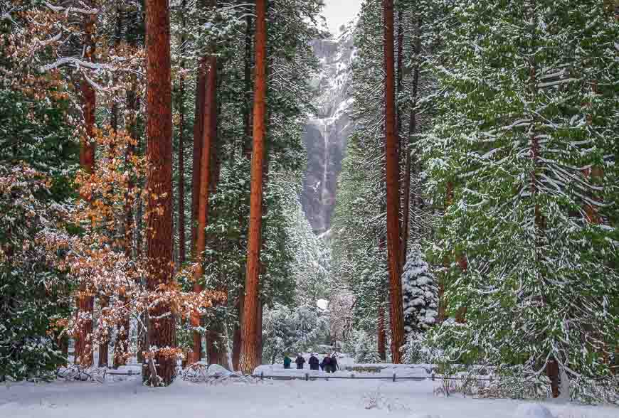 Yosemite Falls - when the lower and upper falls are combined is the longest waterfall in the US