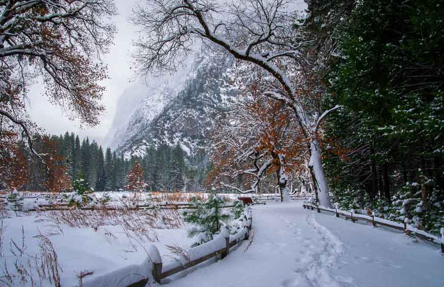 Easy walking paths take you through the Yosemite Valley though there's also a shuttle bus