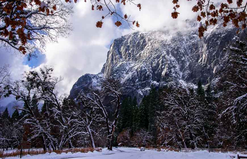 A view from the meadows in the Yosemite Valley