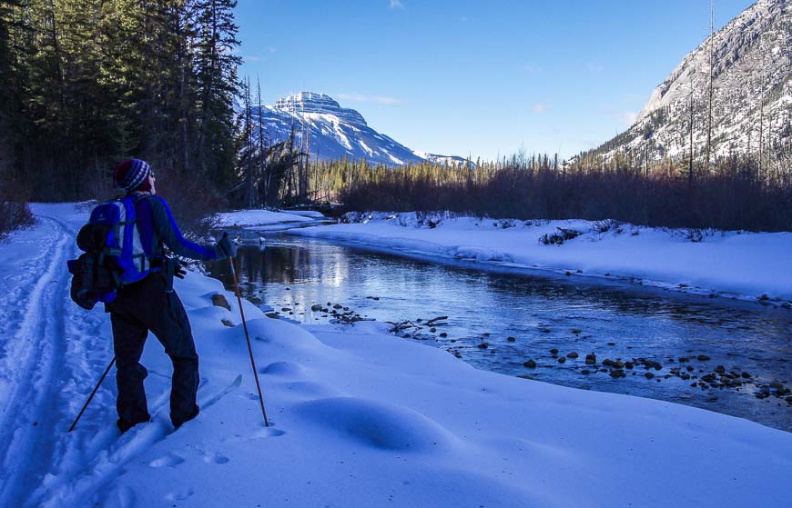 Some beautiful skiing alongside the Bow River