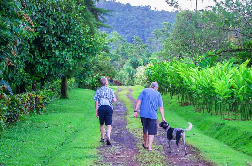 Their dogs liked to join us on walks