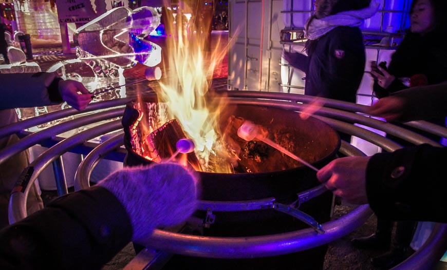 Get your sugar fix at Igloofest roasting marshmallows