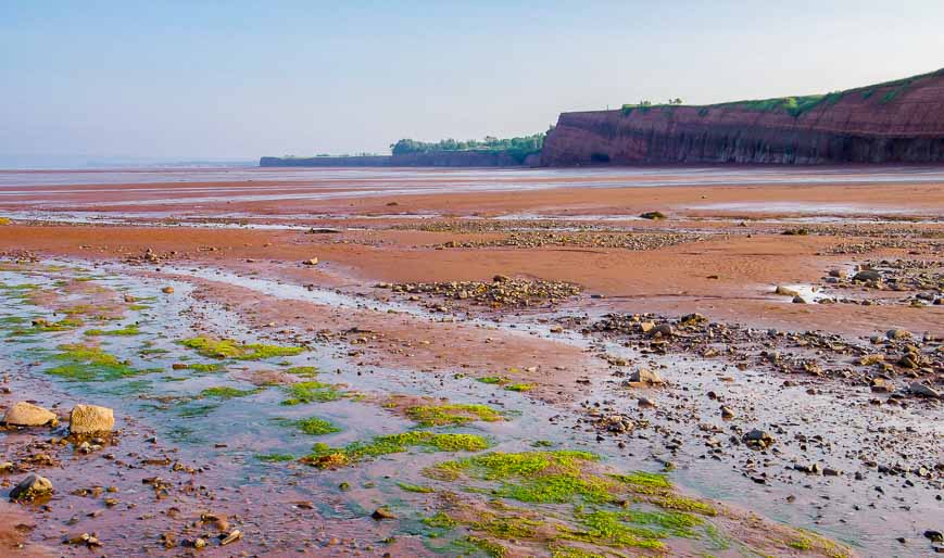 Blomidon Provincial Park at low tide