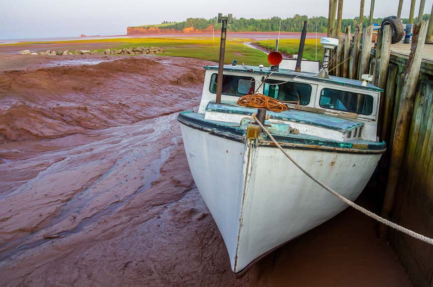 Another look at just how far the tide goes out in Blomidon Park