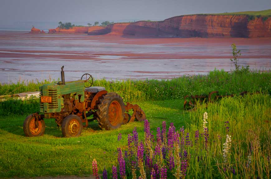 Old tractor looks beautiful in the evening light, Blomidon Park