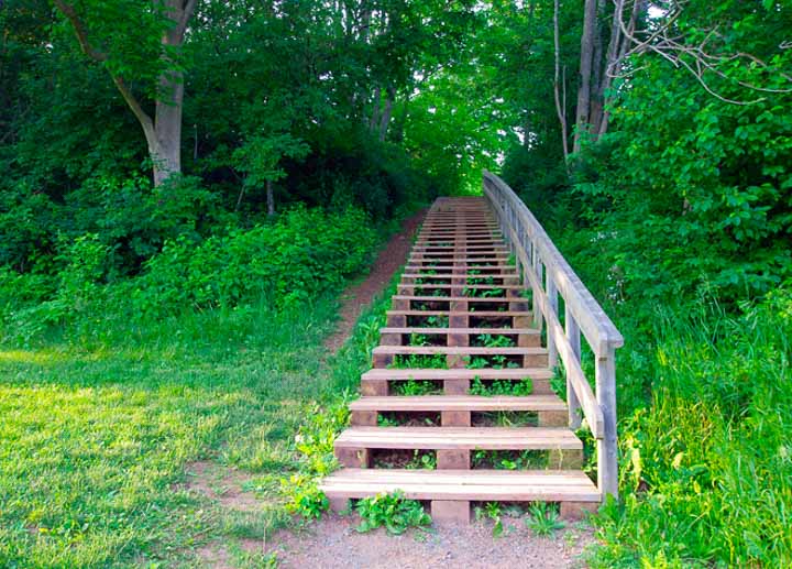 Stairs up from Blomidon Beach