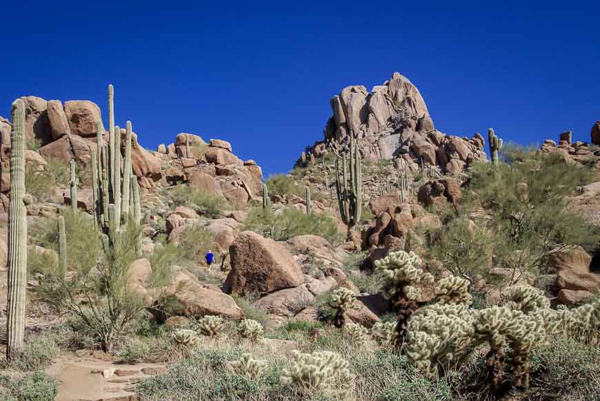 The back side of Pinnacle Peak