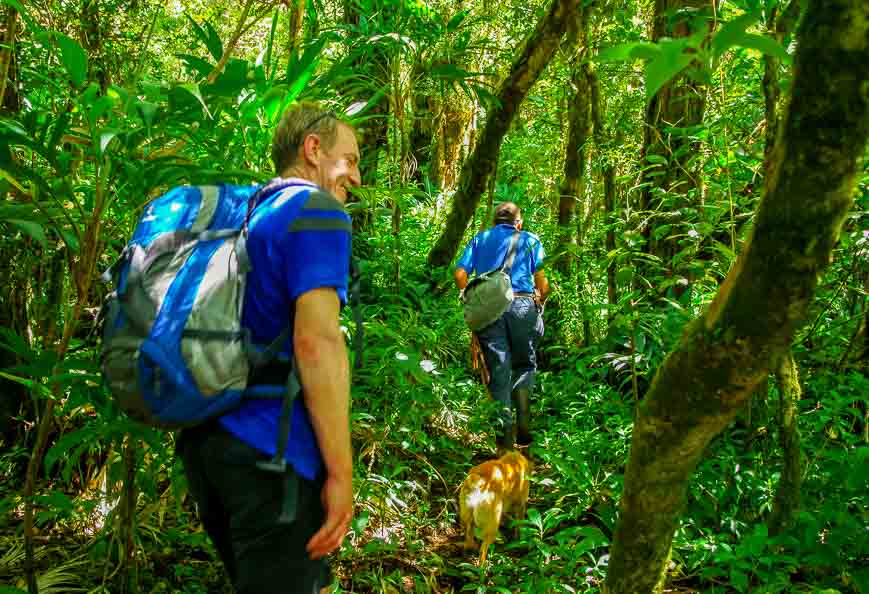 Hiking in Costa Rica with the dog in front as an early warning system for snakes