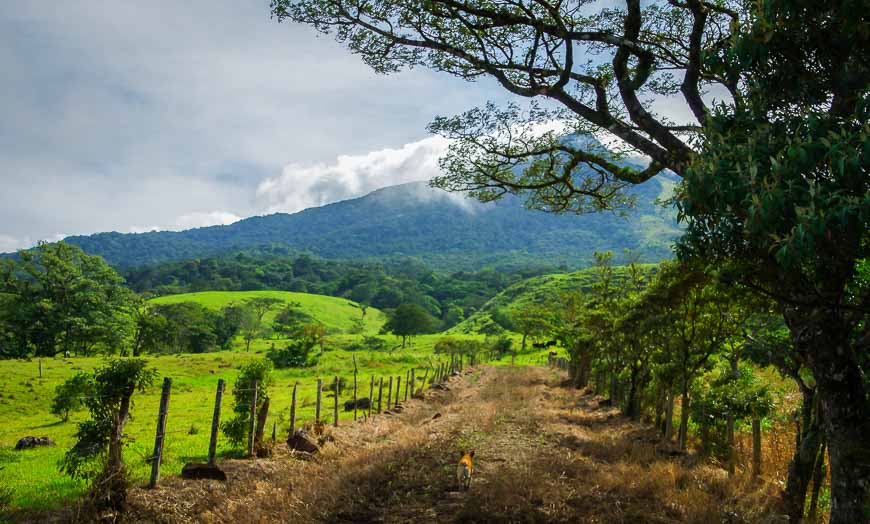 Hiking in Costa Rica on the only flat section of trail