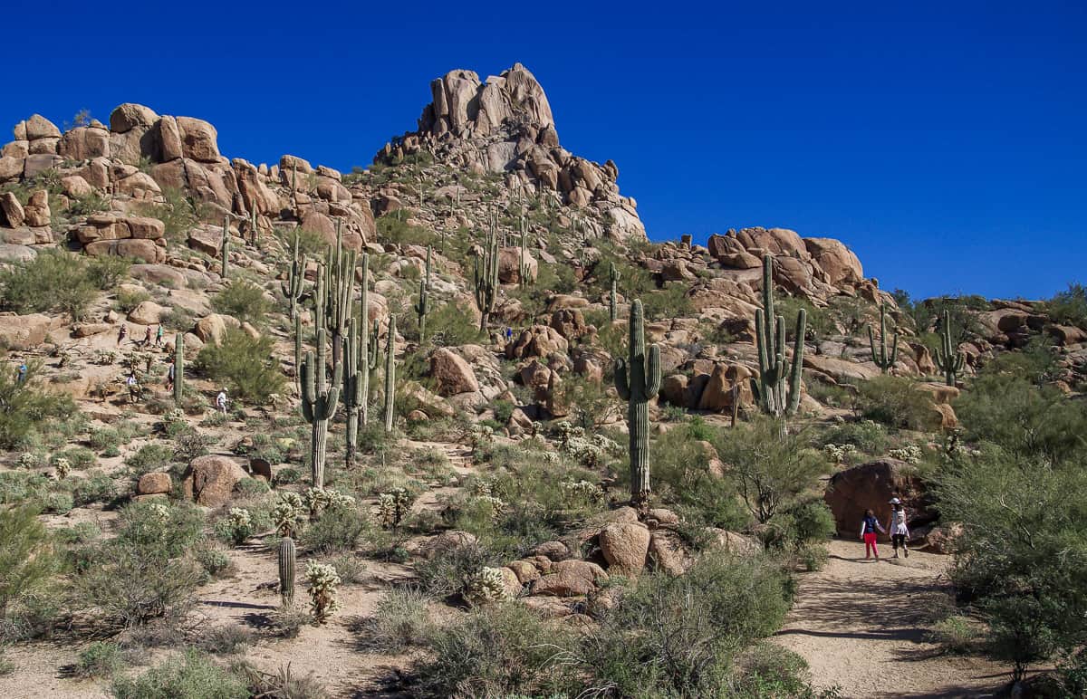 Lots of people hiking Pinnacle Peak in winter when the temperatures are cooler