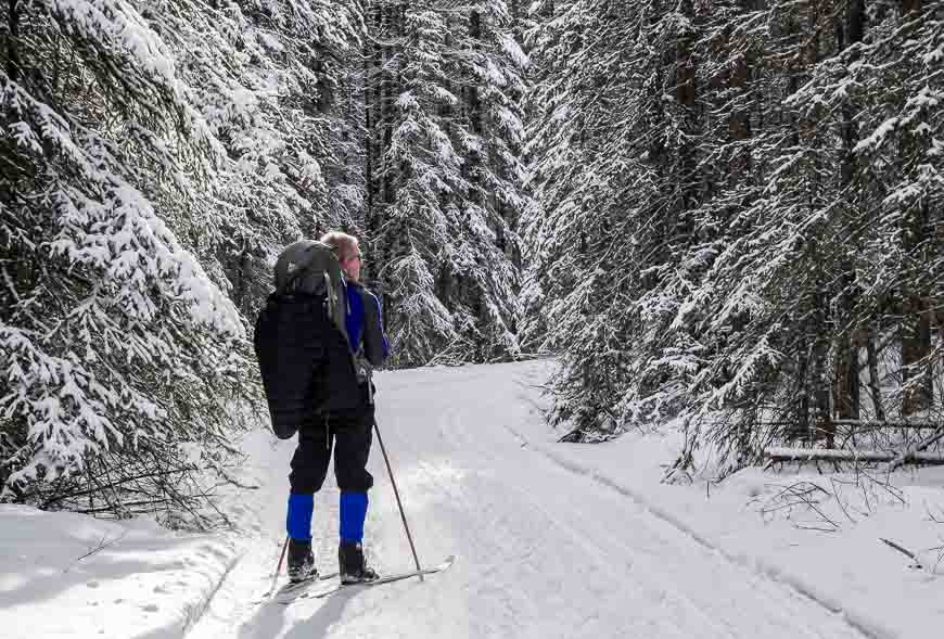 Beautiful conditions skiing into Shadow Lake Lodge on the Redearth Trail