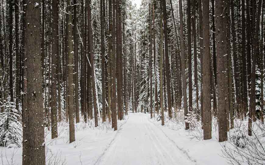 The Redearth Trail takes you to Shadow Lake Lodge