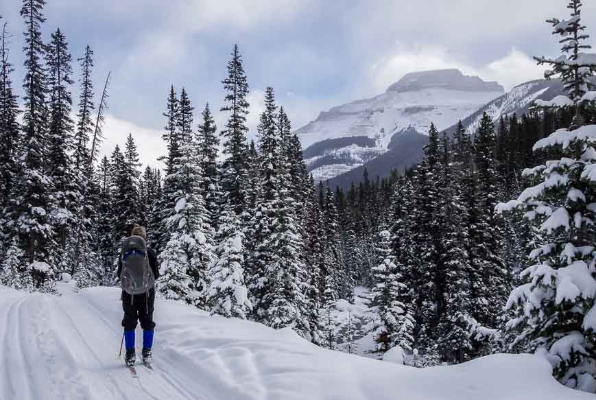 Beautiful ski conditions on the way out from the lodge