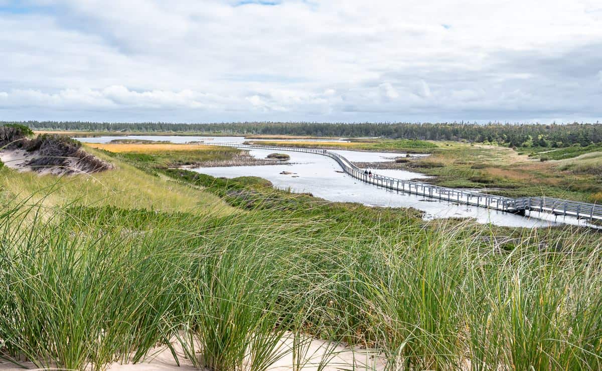 The floating boardwalk in the Greenwich section of Prince Edward Island National Park