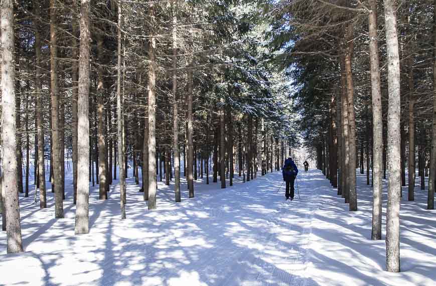 Winter Hiking: The Best Trails in Quebec and Ontario