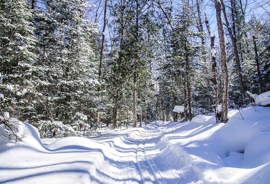 Truly delightful skiing at Ski de Fond Mont Tremblant