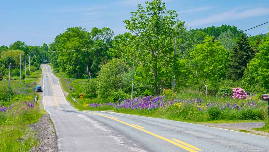 Peaceful biking out of Annapolis Royal