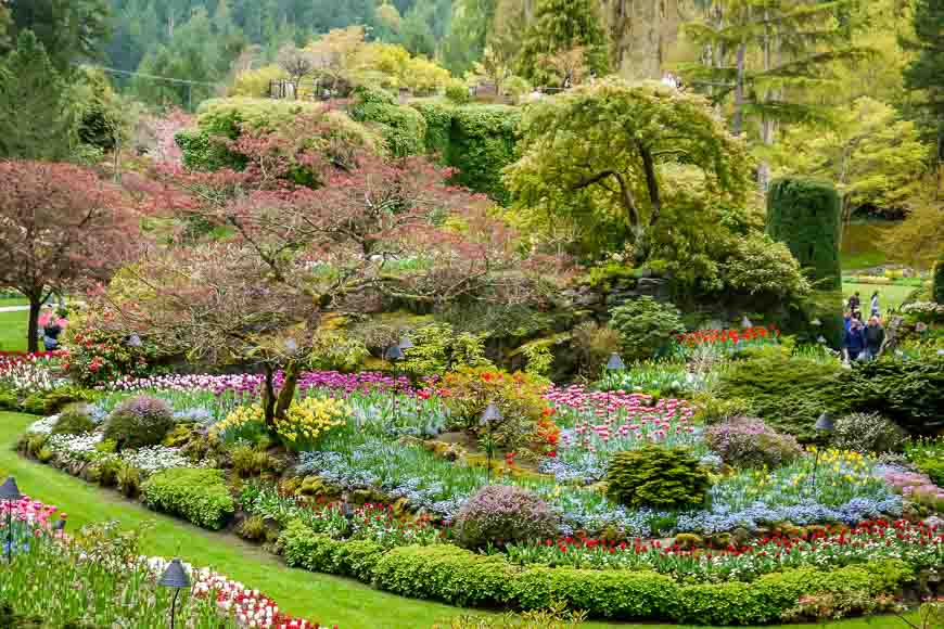 Colourful plantings in the Sunken Garden at Butchart Gardens