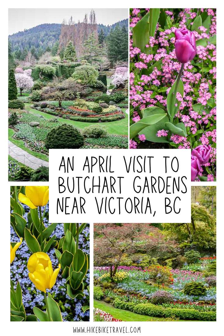 An April Visit to the Butchart Gardens