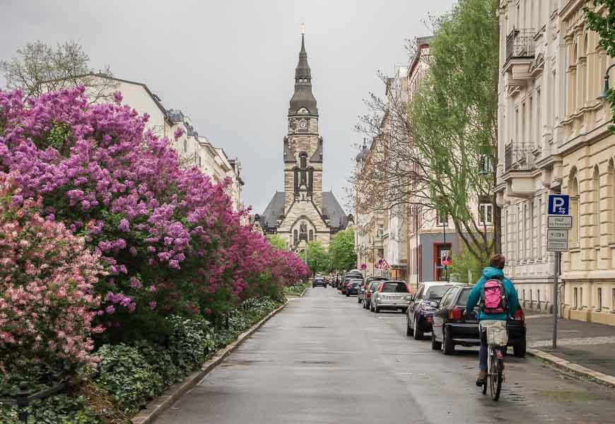 Lilac lined streets in the vicinity of the zoo