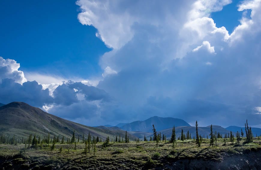 11 of the Best Things to do in the Yukon