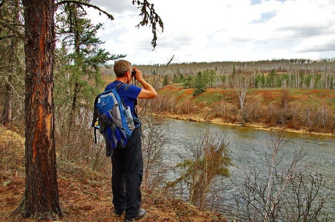 The Boreal Trail Hike In Meadow Lake Provincial Park