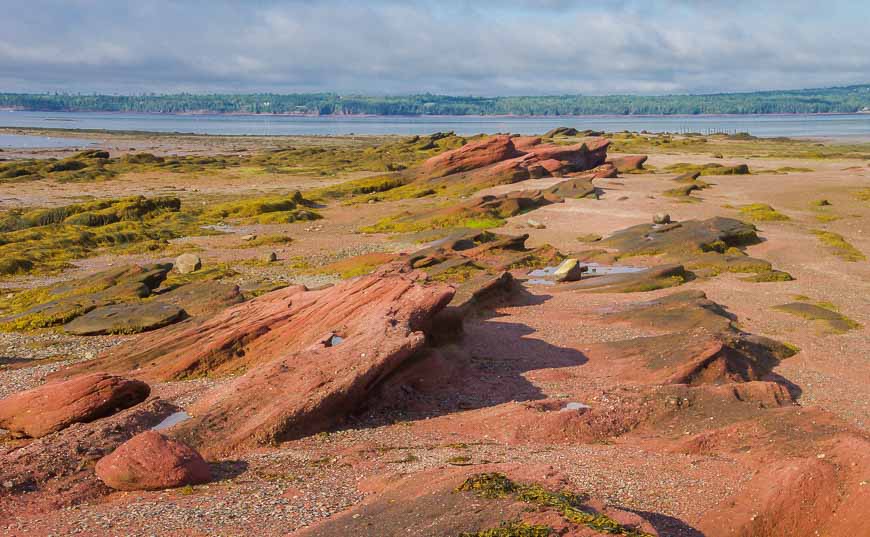 The shoreline in l'Etete beside the ferry docks at low tide