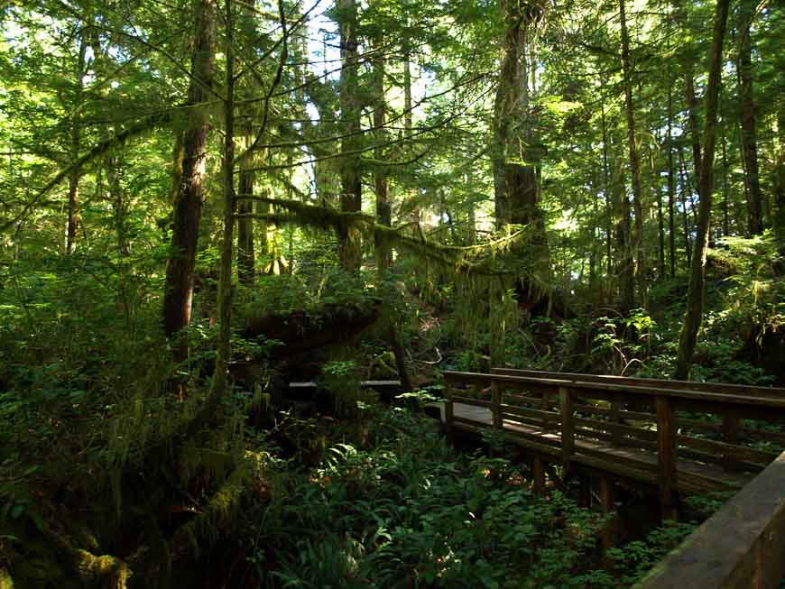 The boardwalk into the Hot Springs