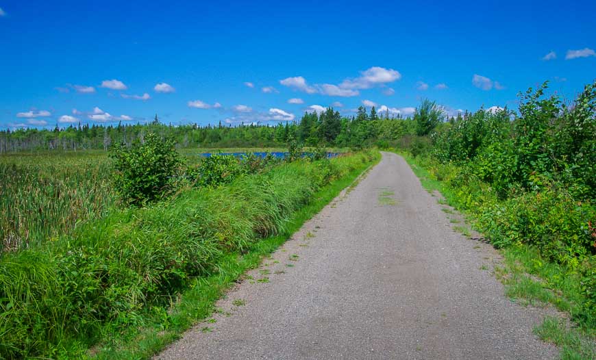 Easy cycling on flat paths in Kouchibouguac National Park