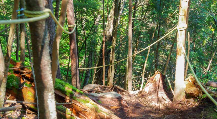 The hiking in La Mauricie National Park was rugged enough that there were ropes in place