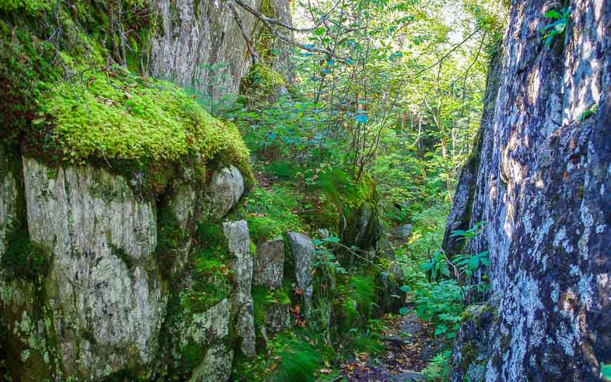 Even the hiking through the woods is lovely