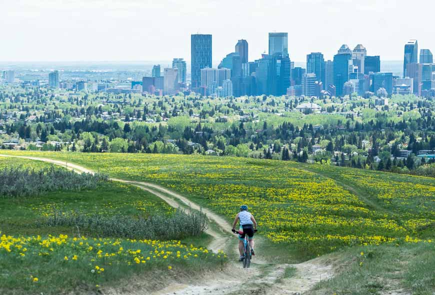 Mountain biking through the flowers in the park