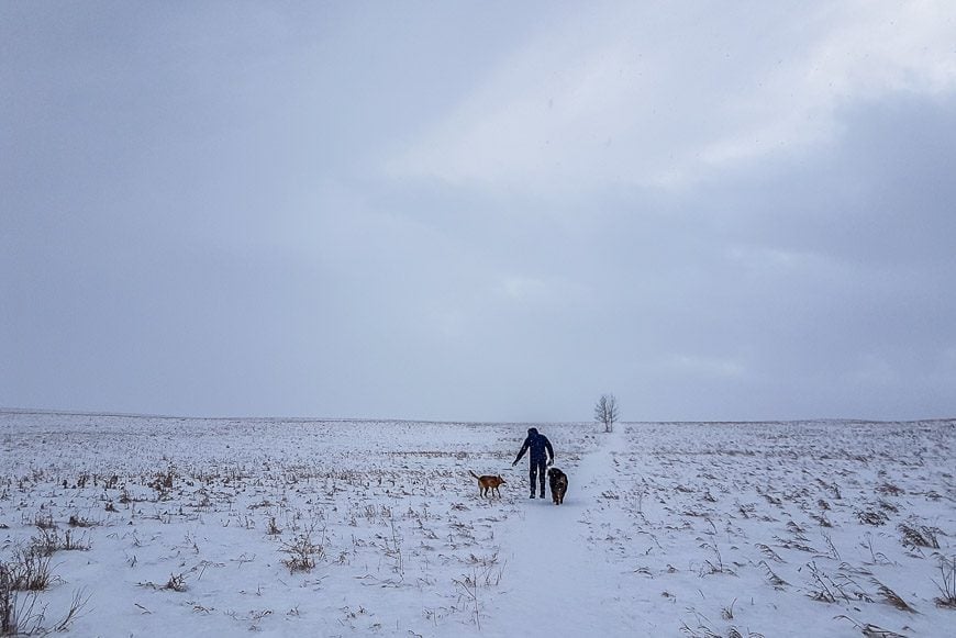 Nose Hill Park in the dead of winter