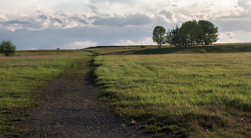 I always feel such a sense of space in Nose Hill Park