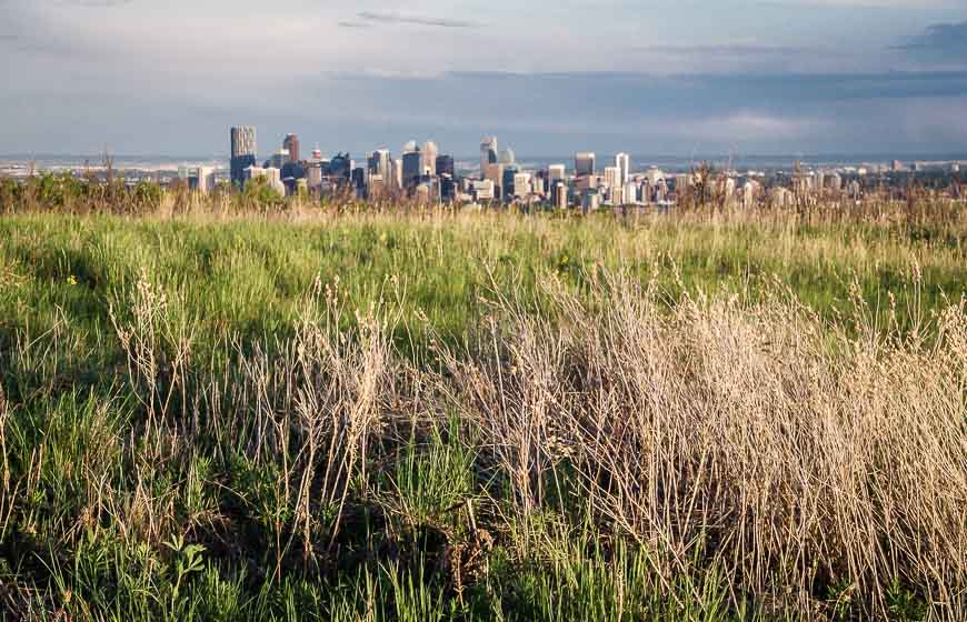 Another view of downtown Calgary