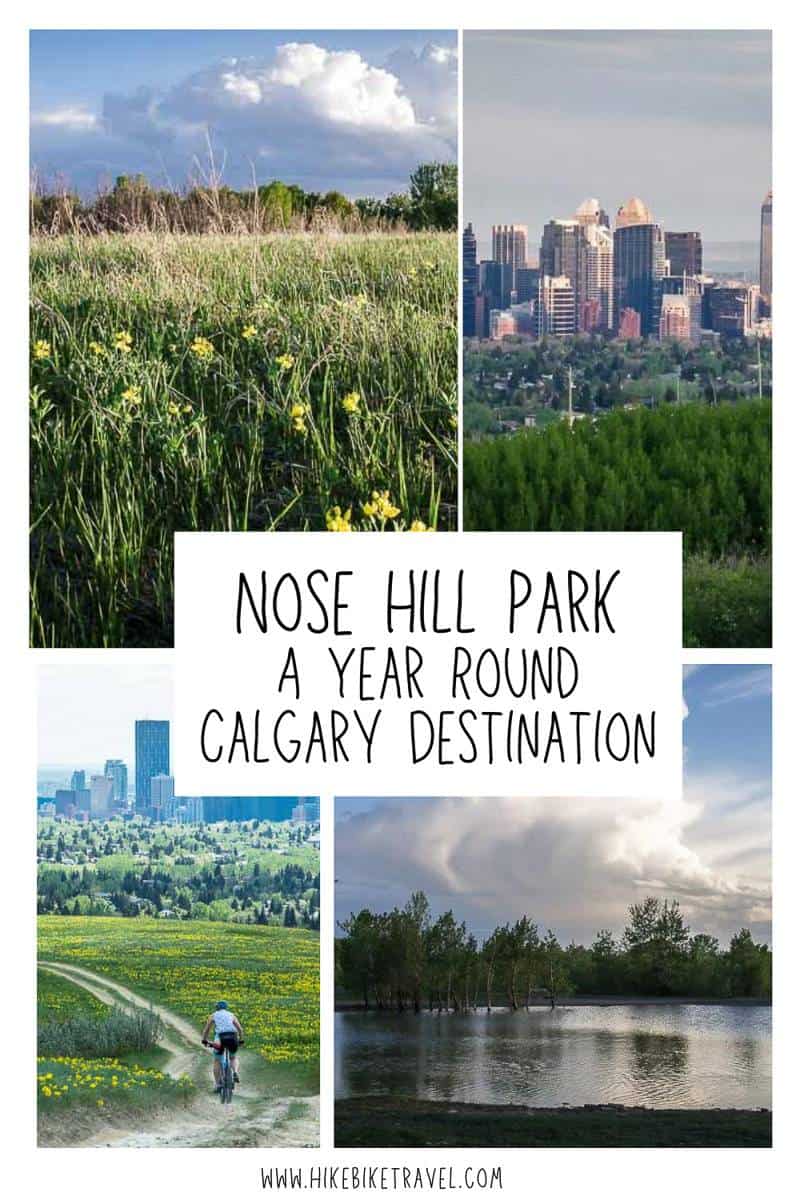 Nose Hill Park - a great year round destination for hiking, dog walking, nature & mountain biking