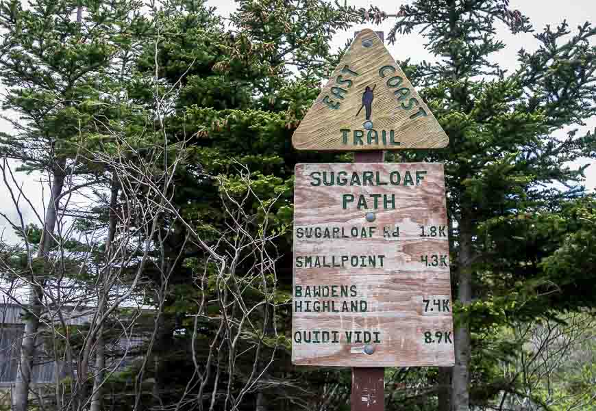 The start of the Sugarloaf Section of the East Coast Trail