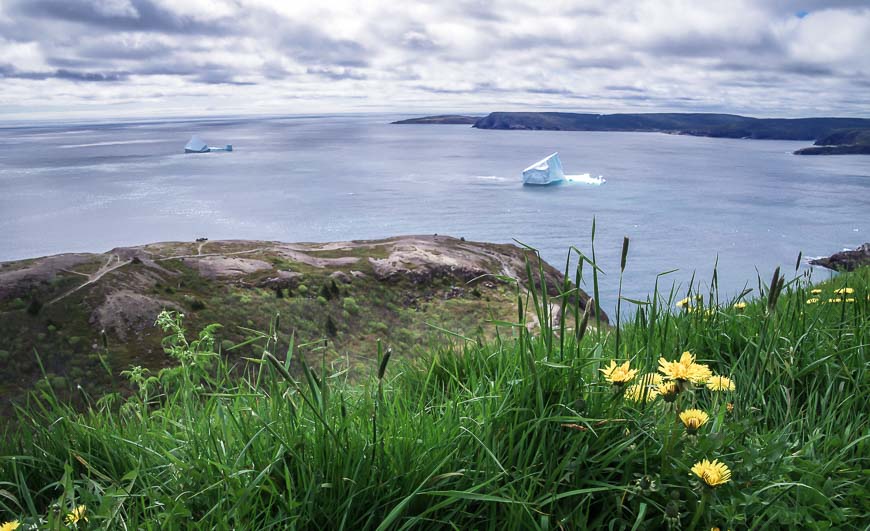 The view from Signal Hill with an iceberg floating in the distance