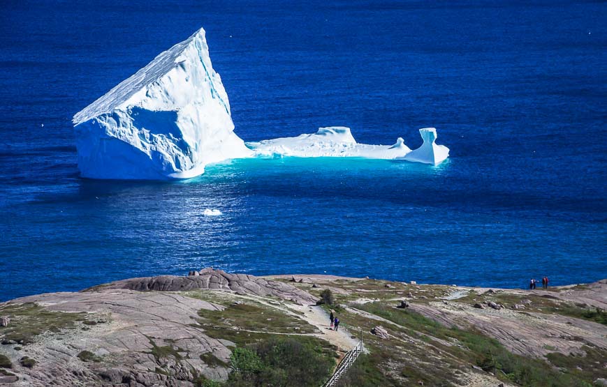 You can walk down from Signal Hill and practically touch the iceberg