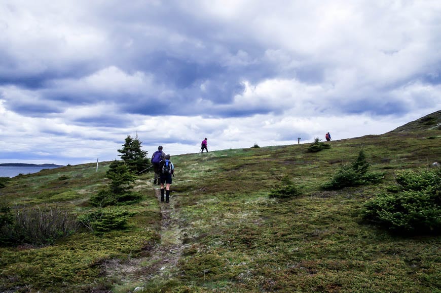 A Hike on the Spurwink Island Path, East Coast Trail, Newfoundland