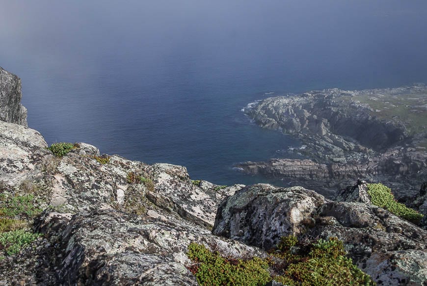 Looking down the cliffs through the fog on Fogo Island, Newfoundland