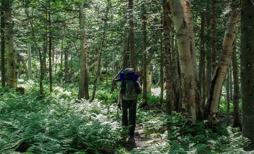 A flat section early on the hike