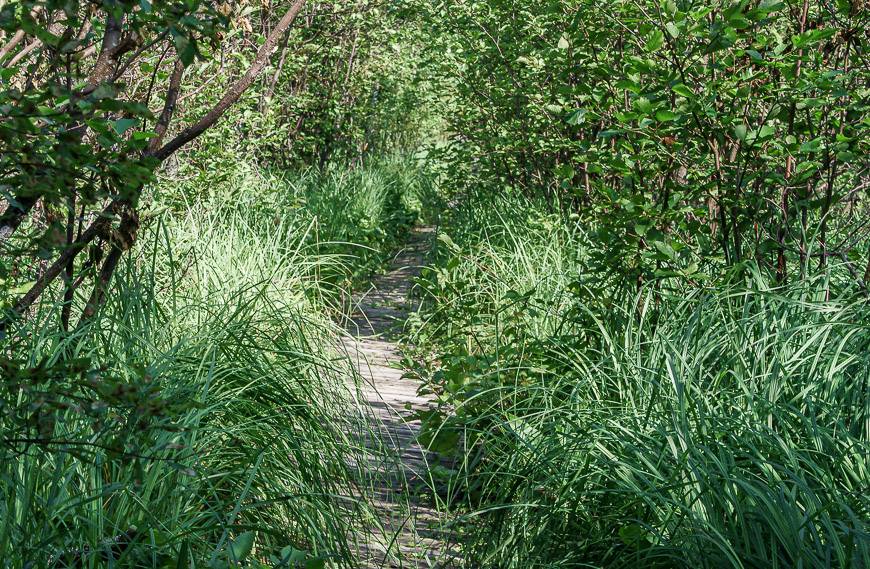 Starting off on the Nut Point Trail