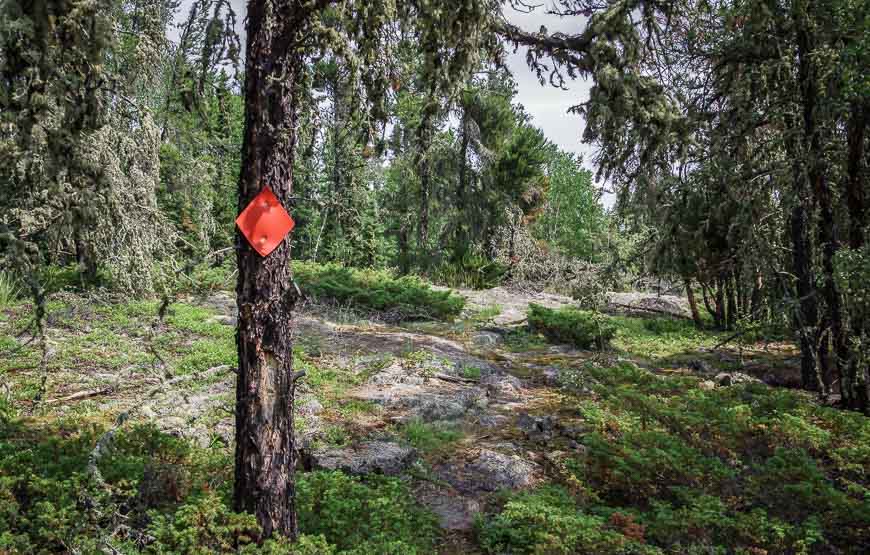 There were occasional markers around on the Nut Point Trail