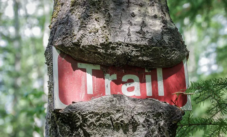 A tree eating sign on the Nut Point Trail