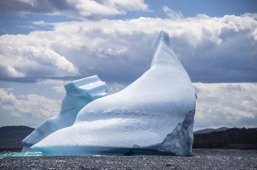 A couple of the big icebergs we checked out on the Rugged Beauty boat tour