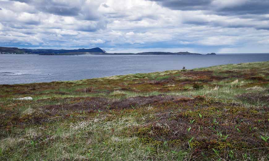 Beautiful views from Grassy Point