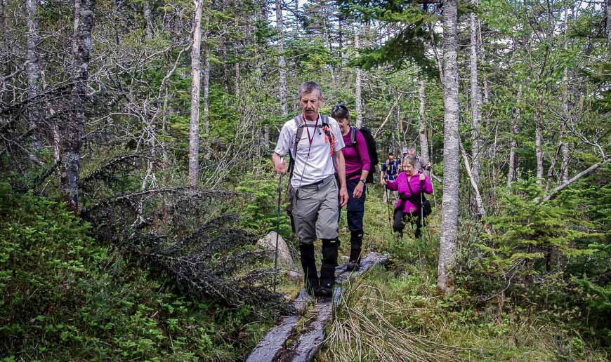 Much of the Spurwink Path hike is in the trees