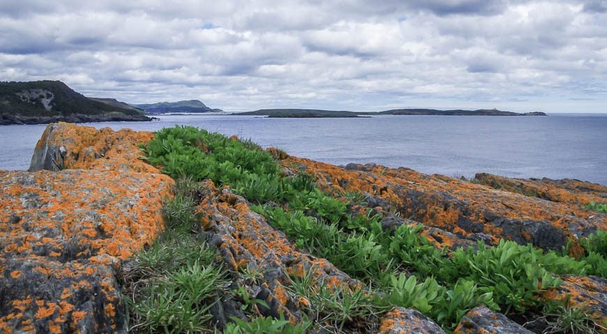 The view to the north from the top of the Berry Head sea arch