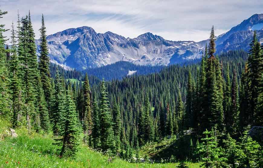 Initially the Eva Lake hike is a mix of forest and meadows